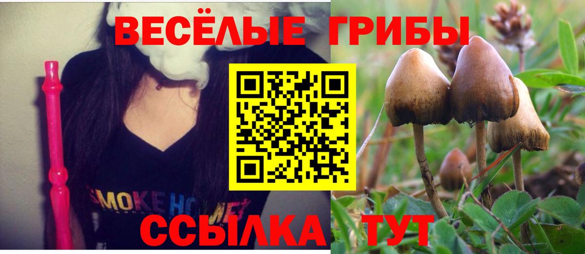 Псилоцибиновые грибы Psilocybine cubensis  Вход с VPN  Южно-Сахалинск  Галлюциногенные грибы GOLDEN TEACHER 